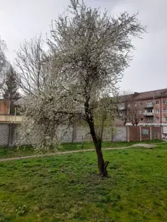 Фото гостя 4 — Квартира однокомнатная в Московском, 32 м², Калининград