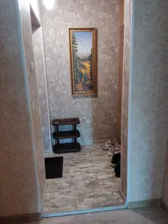Фото гостя 2 — Квартира однокомнатная на проспекте Шахтёрове, 40 м², Кемерово