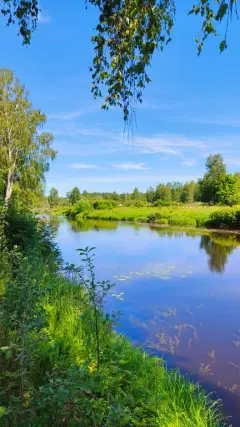 Фото гостя 4 — Коттедж 5-местный в микрорайоне Сайменском, 54 м², Выборг