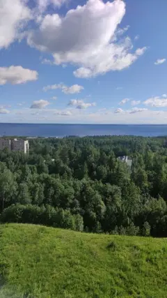 Фото гостя 6 — Квартира двухкомнатная на улице Петрова, 50 м², Петрозаводск