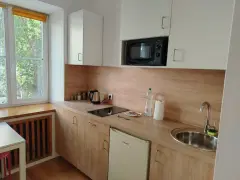 Фото гостя 7 — Студия однокомнатная на проспекте Ленина, 20 м², Екатеринбург