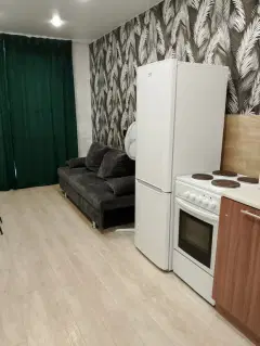 Фото гостя 3 — Квартира однокомнатная в Ленинском, 40 м², Новосибирск