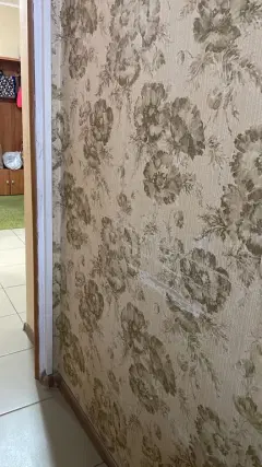 Фото гостя 1 — Квартира двухкомнатная в Канавинском, 65 м², Нижний Новгород