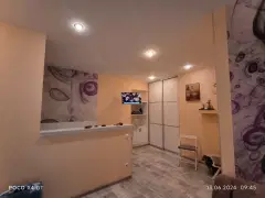 Фото гостя 1 — Студия однокомнатная у Маяковской, в Центральном, 30 м², Санкт-Петербург