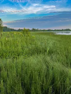 Фото гостя 8 — Коттедж 4-местный в деревни Чередово, 50 м², Волоколамск