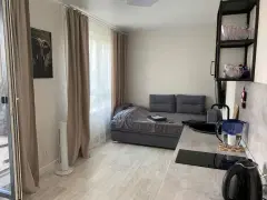 Фото гостя 9 — Студия однокомнатная у Золотой Нивы, в Октябрьском, 29 м², Новосибирск