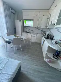 Фото гостя 5 — Квартира трёхкомнатная на улице Урожайной, 50 м², Сириус