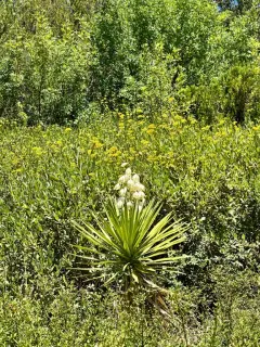 Фото гостя 10 — Квартира однокомнатная на улице Космонавтове, 60 м², Форос