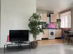 Фото гостя 1 — Студия однокомнатная у Бурнаковской, в Мещерке, 32 м², Нижний Новгород