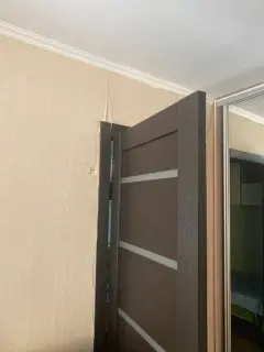 Фото гостя 3 — Студия трёхкомнатная у Заельцовской, в Заельцовском, 75 м², Новосибирск