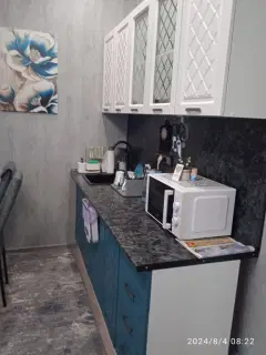 Фото гостя 7 — Студия однокомнатная на улице Пражской, 25 м², Кудрово