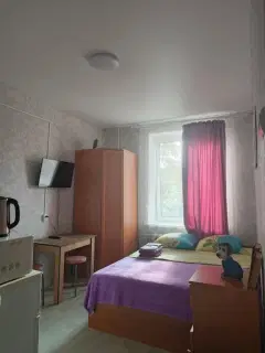 Фото гостя 1 — Студия однокомнатная в Советском, 15 м², Нижний Новгород