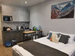 Фото гостя 2 — Студия однокомнатная на проезде Спортивном, 27 м², Мистолово