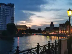 Фото гостя 4 — Квартира однокомнатная в переулке Тбилисском, 39 м², Калининград