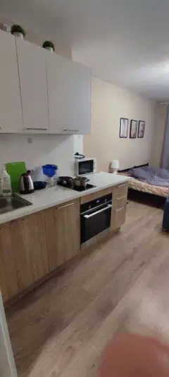 Фото гостя 2 — Студия однокомнатная на дороге Балканской, 40 м², Колпино