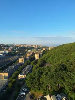 Фото гостя 1 — Квартира двухкомнатная в Советском, 50 м², Владивосток