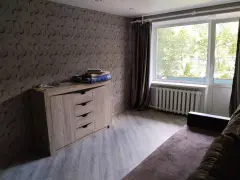 Фото гостя 4 — Квартира двухкомнатная на улице Маяковского, 42 м², Сортавала