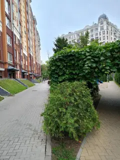 Фото гостя 12 — Студия однокомнатная на улице Валентина Мосина, 39 м², Зеленоградск