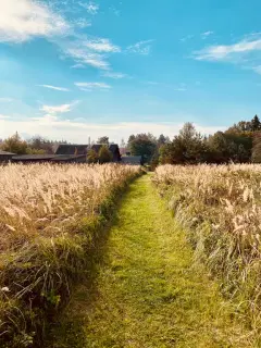 Фото гостя 2 — Дом 4-местный в посёлке Рудни, 60 м², Себеж