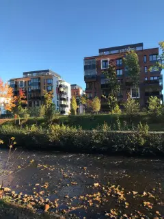Фото гостя 12 — Квартира трёхкомнатная на площади Литейной, 70 м², Петрозаводск