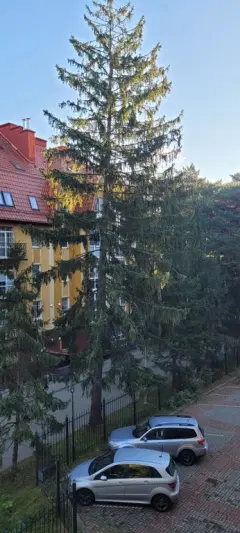 Фото гостя 8 — Квартира двухкомнатная на улице 8 Марта, 60 м², Светлогорск