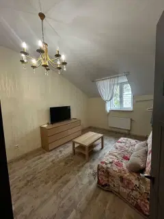 Фото гостя 9 — Апартаменты однокомнатные в Пушкинском, 43 м², Павловск