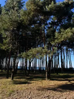 Фото гостя 4 — Дом 5-местный в посёлке Куликово, 80 м², Заостровье