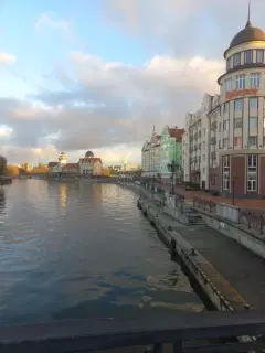 Фото гостя 4 — Квартира двухкомнатная в Московском, 50 м², Калининград