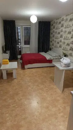 Фото гостя 2 — Студия однокомнатная на набережной Ярыгинской, 26 м², Красноярск