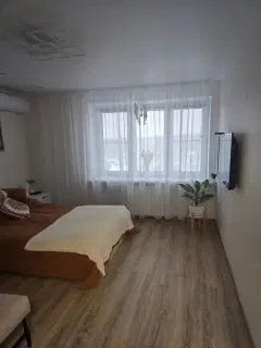 Фото гостя 6 — Квартира однокомнатная в Советском, 35 м², Нижний Новгород