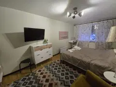 Фото гостя 7 — Квартира однокомнатная на улице Шмидте, 36 м², Мурманск