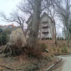 Фото гостя 9 — Квартира однокомнатная на улице Аптечной, 52 м², Светлогорск