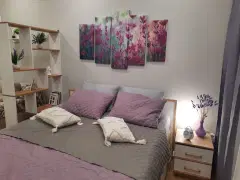 Фото гостя 4 — Квартира однокомнатная в Советском, 49 м², Новосибирск