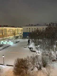 Фото гостя 6 — Квартира однокомнатная на улице Софьи Перовской, 44 м², Мурманск