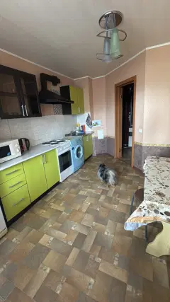Фото гостя 1 — Квартира однокомнатная на шоссе Солотчинском, 40 м², Рязань