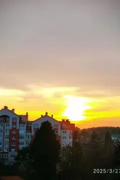 Фото гостя 2 — Студия однокомнатная на проспекте Калининградском, 25 м², Светлогорск