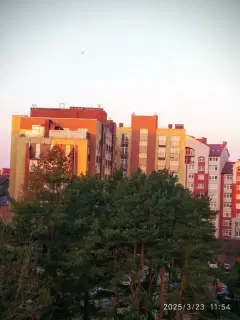 Фото гостя 8 — Студия однокомнатная на проспекте Калининградском, 25 м², Светлогорск