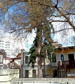 Фото гостя 1 — Студия однокомнатная на улице Парковом пешеходе, 22 м², Кисловодск