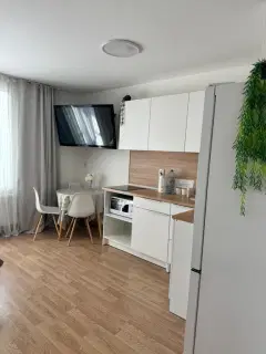 Фото гостя 1 — Студия однокомнатная в Московском, 29 м², Санкт-Петербург