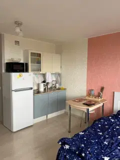 Фото гостя 7 — Апартаменты однокомнатные в Верх-Исетском, 27 м², Екатеринбург