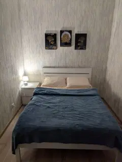Фото гостя 2 — Квартира однокомнатная на шоссе Лососинском, 33 м², Петрозаводск