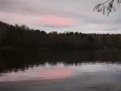 Фото гостя 9 — Коттедж 5-местный на проезде Лоцманском, 64 м², Выборг