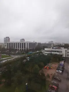 Фото гостя 1 — Студия однокомнатная у метро Московская, 27 м², Санкт-Петербург