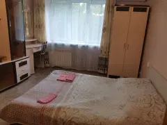 Фото гостя 2 — Квартира однокомнатная в Советском, 35 м², Нижний Новгород