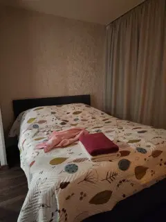 Фото гостя 3 — Квартира однокомнатная в Советском, 20 м², Нижний Новгород