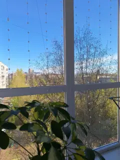 Фото гостя 10 — Студия однокомнатная на улице Большой Октябрьской, 35 м², Ярославль