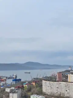 Фото гостя 1 — Квартира однокомнатная в Первомайском, 33 м², Владивосток