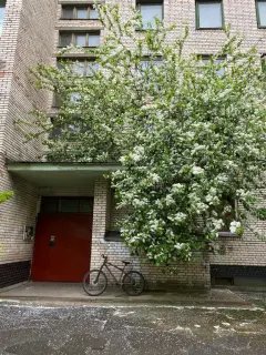 Фото гостя 1 — Квартира однокомнатная у Мужества, в Выборгском, 39 м², Санкт-Петербург