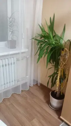 Фото гостя 11 — Квартира двухкомнатная на улице 9 Мая, 48 м², Арзамас