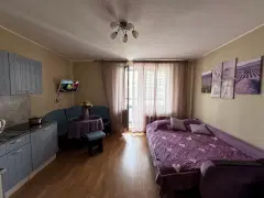 Фото гостя 4 — Квартира однокомнатная у метро Девяткино, 28 м², Мурино